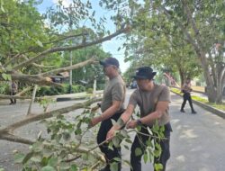 Sabtu Bersih, Kapolres Maluku Tengah Pimpin Kurvei Pohon Tumbang di Jalan