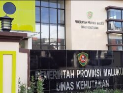 Wajah Proyek Reboisasi Kini Tercium Bau Korupsi, Kadis Kehutanan Prov Maluku: Akan di Laporkan Ke polisi.