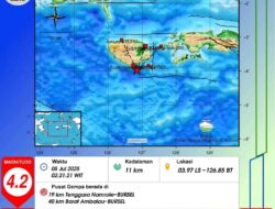 Gempa Magnitudo 4,2 Guncang Wilayah Buru Selatan, Tak Berpotensi Tsunami