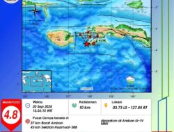 Gempa Magnitudo 4,8 Guncang Ambon, Terasa Hingga Huamual