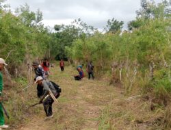 Gotong Royong Tutup Lubang Pemerintah SBB, Warga Buano Bangun Jalan Tani Sendiri