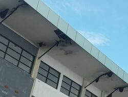 Sarang Tawon Bersarang di Kantor DPMPTSP Masohi, Warga Resah dan Takut Diserang