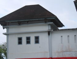 Sarang Lebah Madu Menggantung di Gedung Lama DPRD Maluku Tengah, Perhatian Untuk Keselamatan Terabaikan