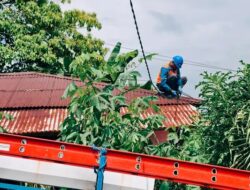 PLN Masohi Gerak Cepat Atasi Jaringan Listrik di Negeri Amahai