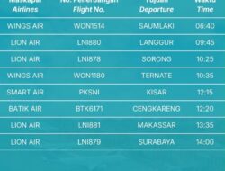 Karhutla Kepung Jalur Udara Ambon, 17 Penerbangan Tumbang dalam Dua Hari