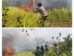 Kebakaran Lahan di Pasahari Meluas, 50 Hektare Terbakar hingga Kebun Warga