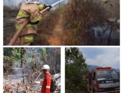 Karhutla Banda Baru, PT BLM, TNI, KPH Malteng dan Warga Berjibaku Padamkan Si Jago Merah