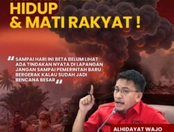 Karhutla di Maluku, Alhidayat Wajo: Pemda Jangan Hanya Terima Laporan, Harus Turun Lapangan